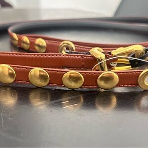 Gold Studded Leather Belt